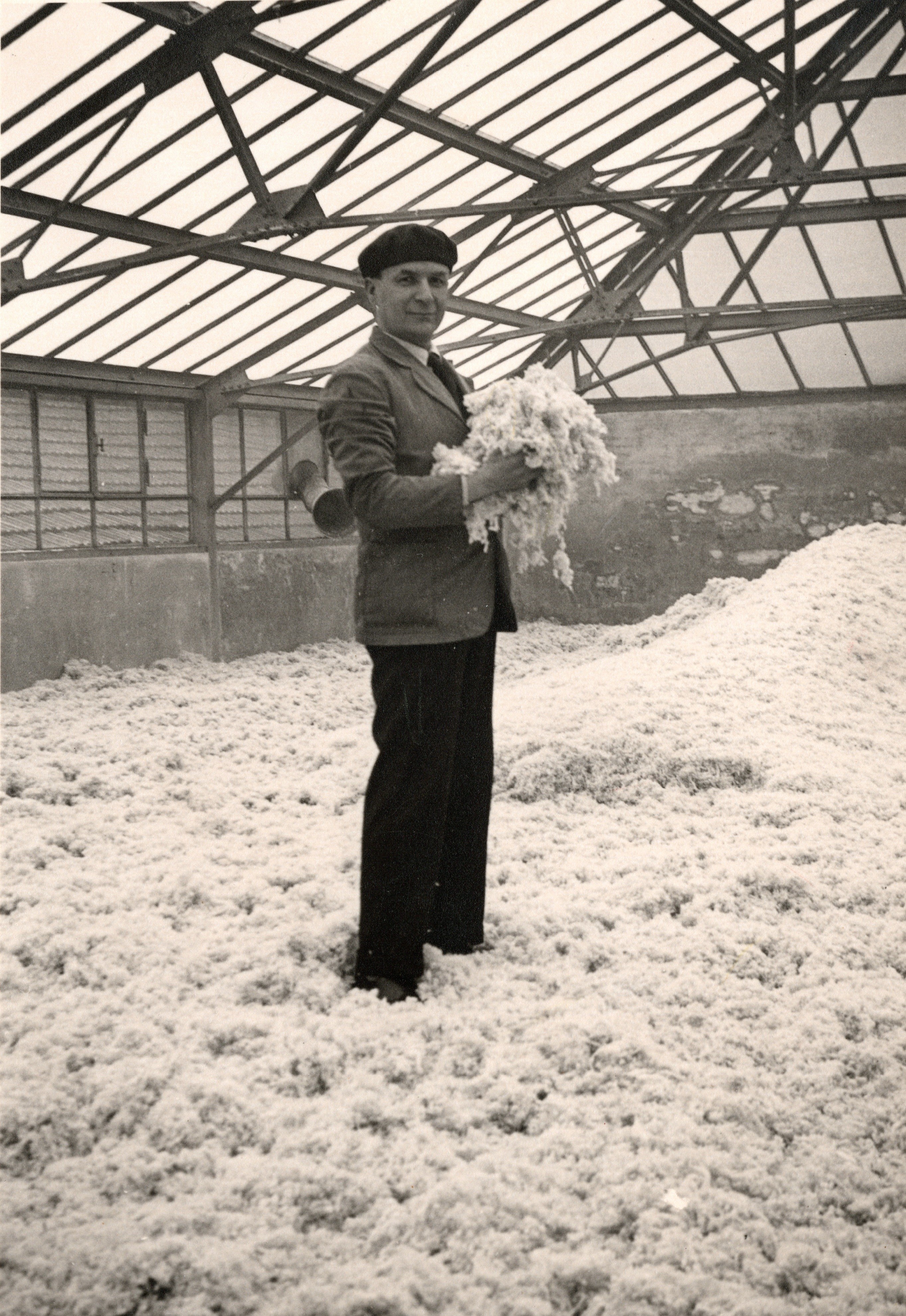 “Stabilimento Lavorazione Materie Tessili